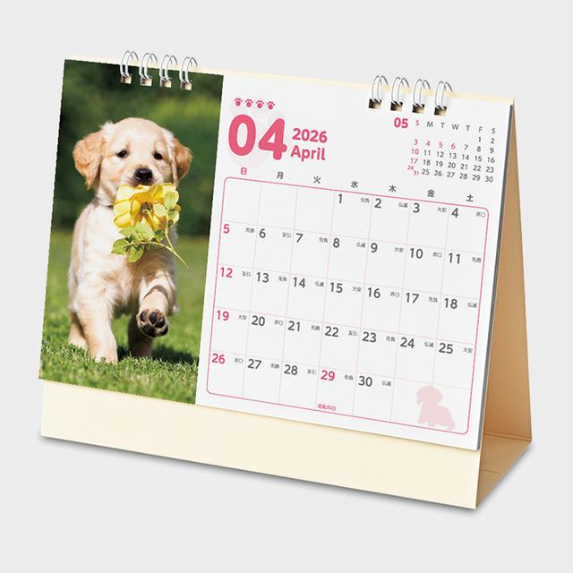 卓上にゃんことわんこのカレンダー