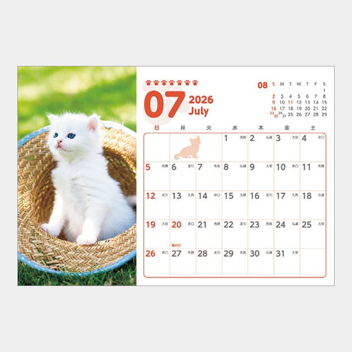 07