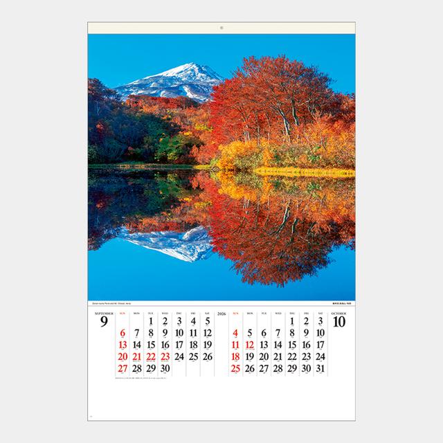 美しい水辺(フィルム)