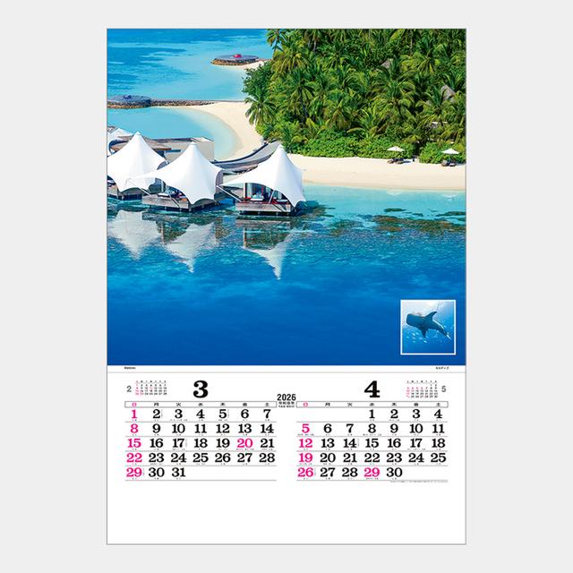 マリンブルー(フィルム)