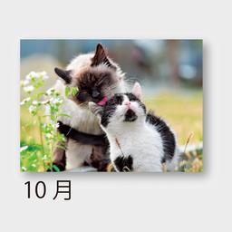 10サムネイル