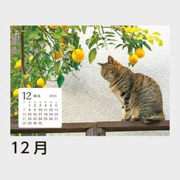 13サムネイル