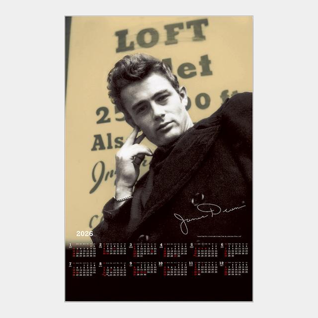 【不織布】ジェームス・ディーン