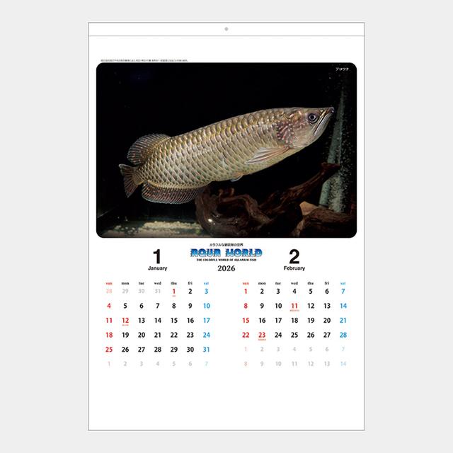 アクアワールド