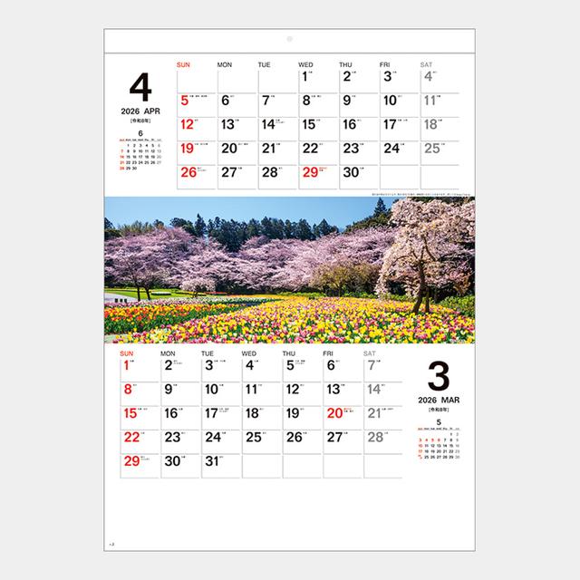 四季彩紀行 ミシン目入り