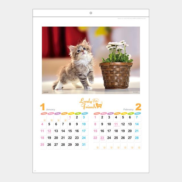 ラブリーフレンズ(猫)